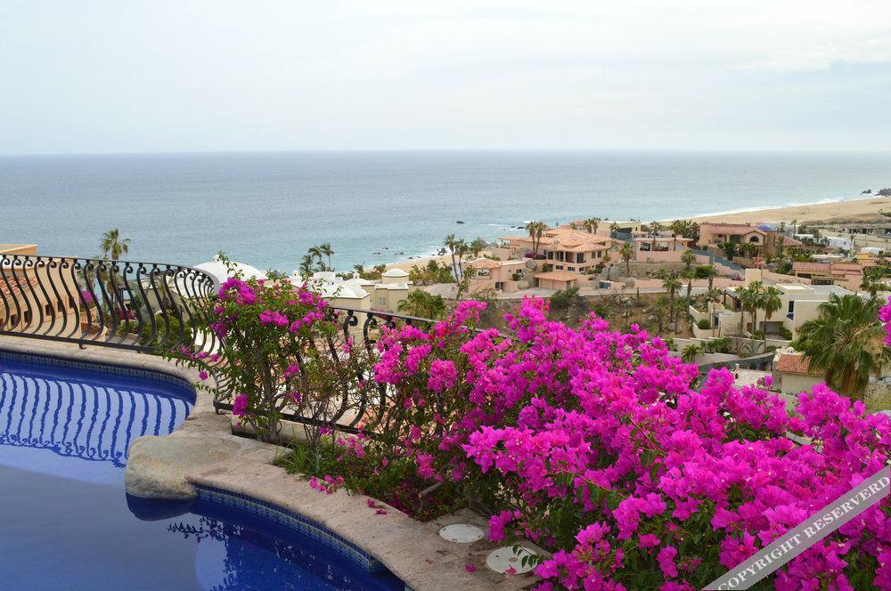 Villa Las Flores Cabo San Lucas Eksteriør bilde