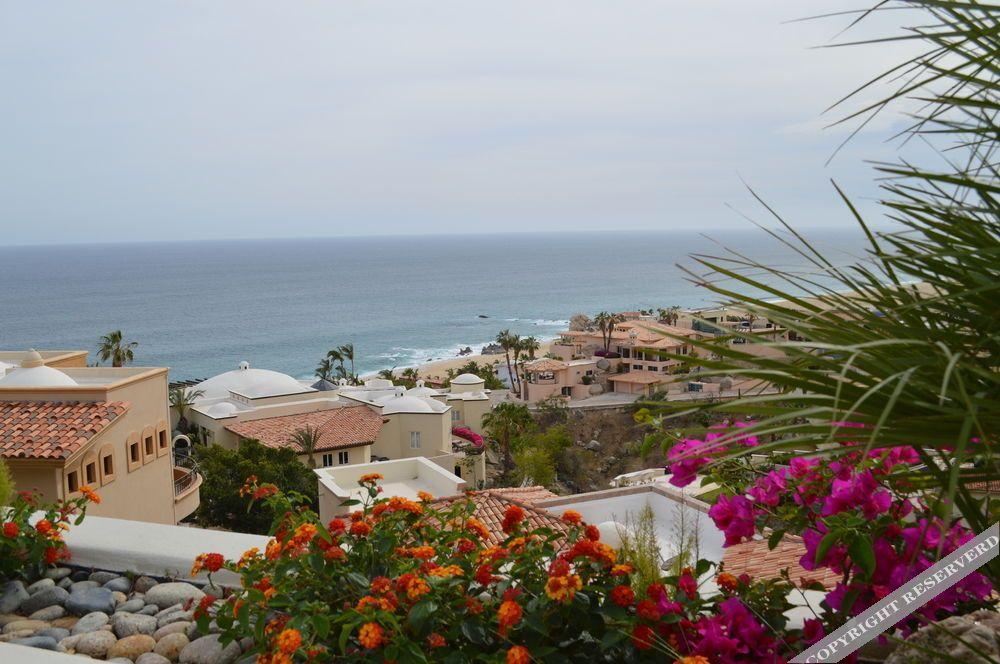 Villa Las Flores Cabo San Lucas Eksteriør bilde