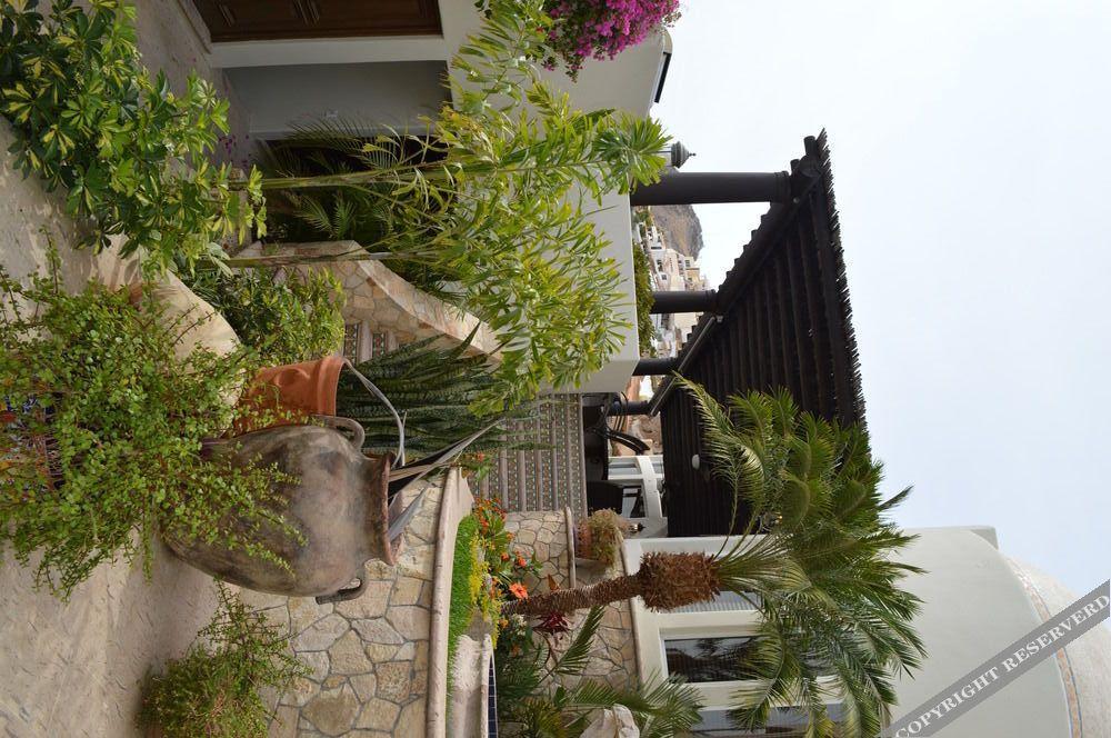 Villa Las Flores Cabo San Lucas Eksteriør bilde