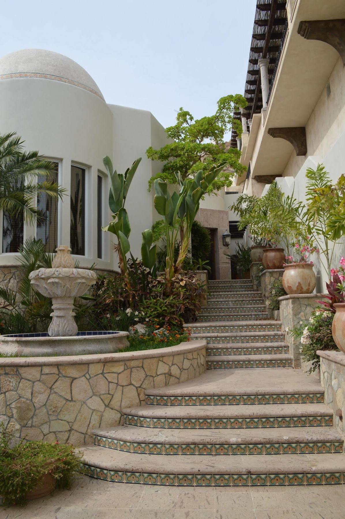 Villa Las Flores Cabo San Lucas Eksteriør bilde